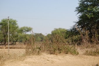 #1: General    view  of  the   Confluence  Point