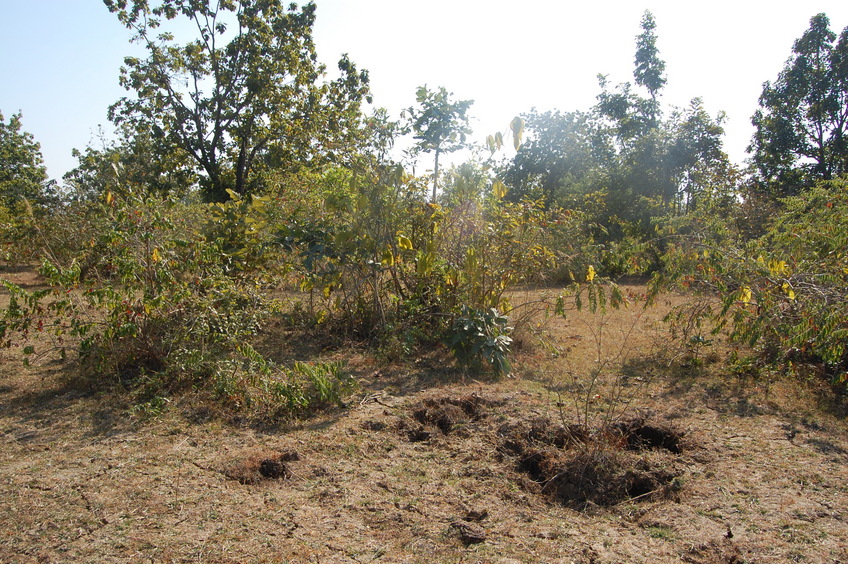 General    view  of  the   Confluence  Point