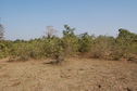 #2: Eastern view  from the Confluence Point