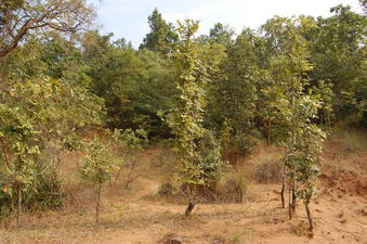 #1: General    view  of  the   Confluence  Point