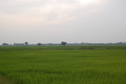 #3: View  of  the West of the Confluence Point 