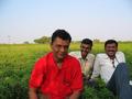 #8: Resting at the adjacent ground nut field