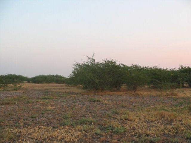 Viewing South From Confluence Point