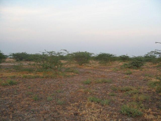 Viewing East from Confluence Point