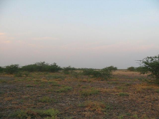 Viewing North from Confluence Point