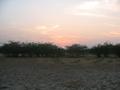 #5: Viewing West from Confluence Point