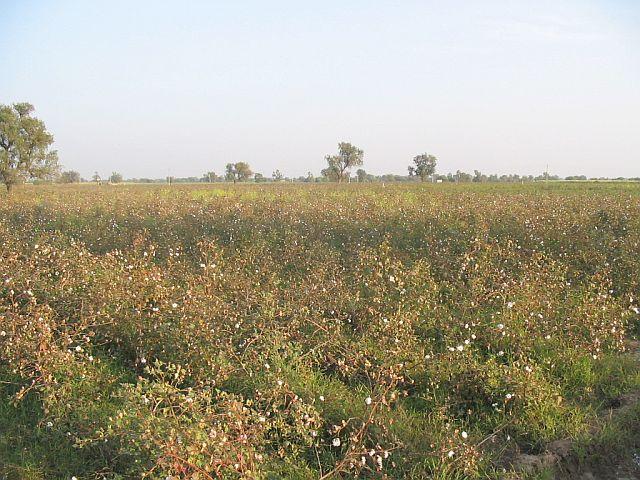 General view of confluence