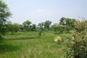 #3: View  of  the West of the Confluence Point 