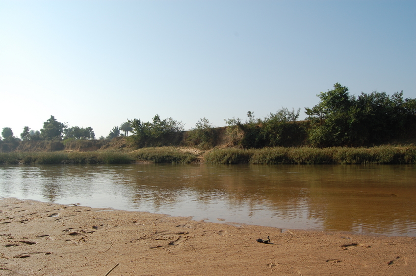 Southern View from the Confluence Point