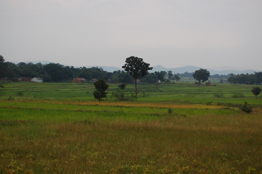 East   view  from  the  Confluence Point