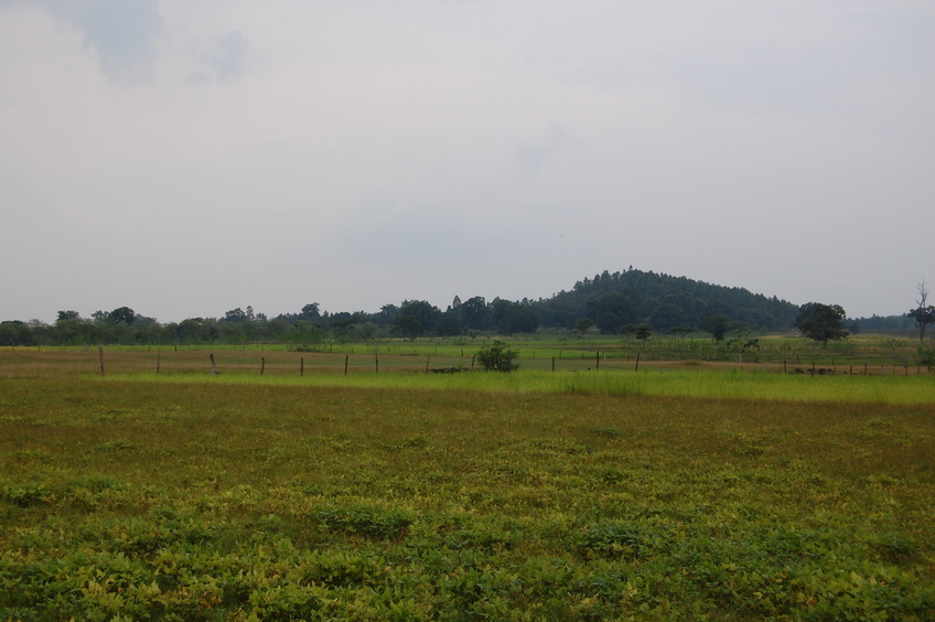 North  view from the Confluence Point