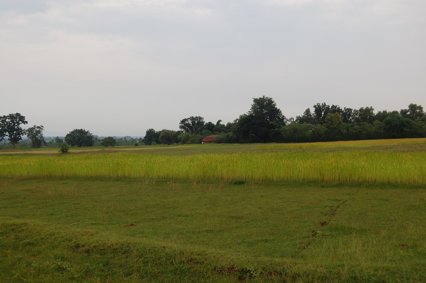 South view from the Confluence Point