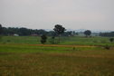 #2: East   view  from  the  Confluence Point