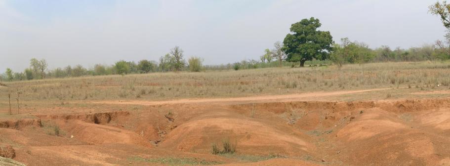 Panoramic view from confluence – North