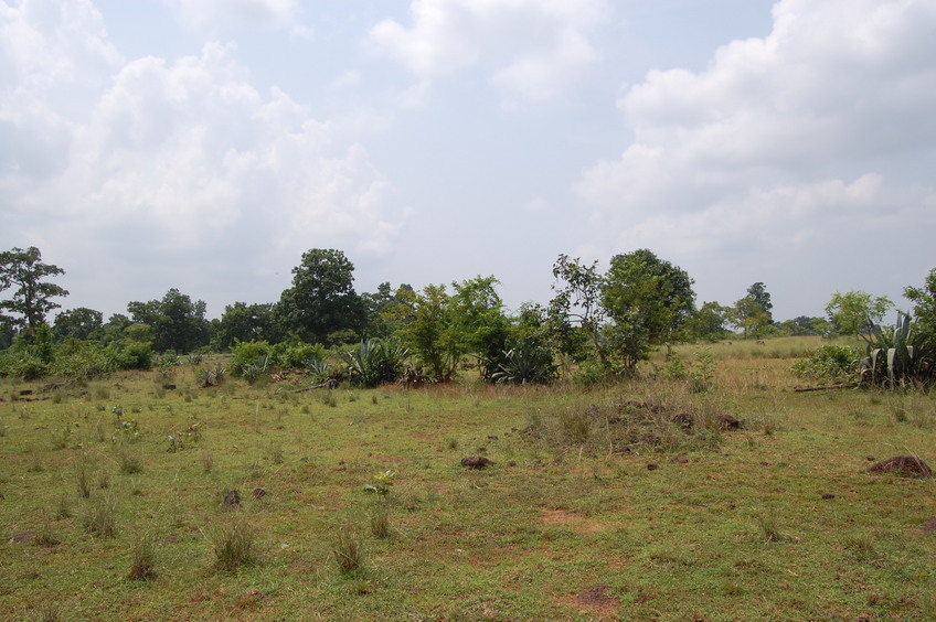 South view from the Confluence Point