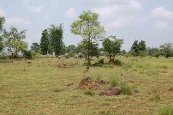 #1: General View  from   the Confluence Point