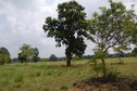 #2: East   view  from  the  Confluence Point