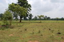 #4: North  view from the Confluence Point