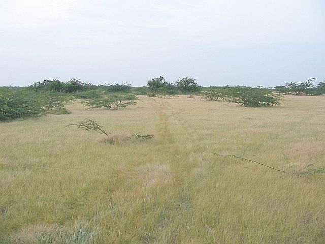 General View of Confluence - 23°N 70°E