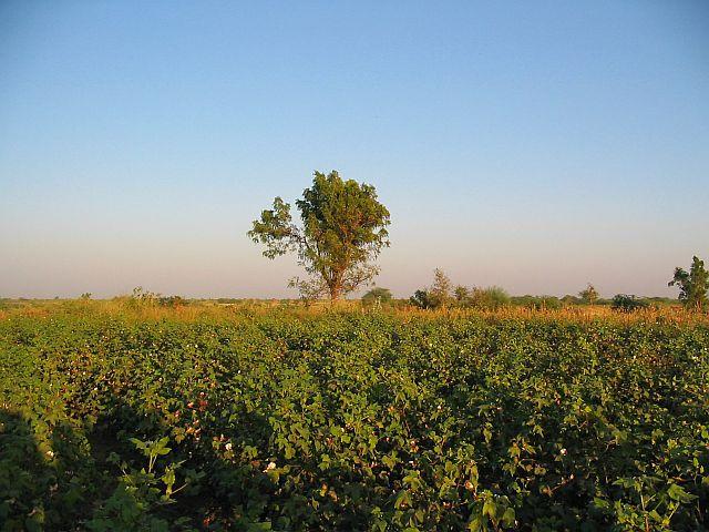 Viewing East from CP 23°N 71°E