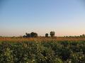 #2: Viewing North from CP 23°N 71°E