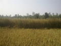 #3: Facing West