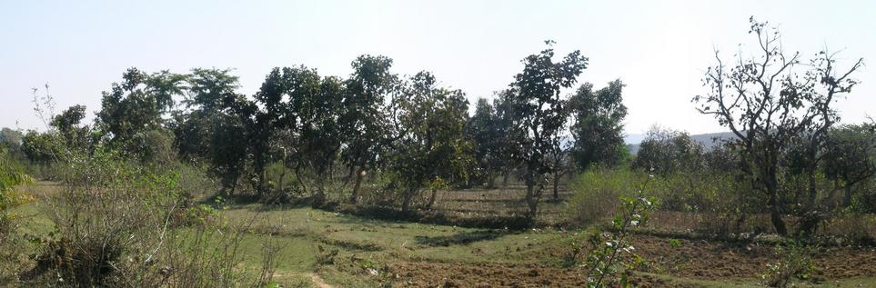 Panoramic view from confluence – East