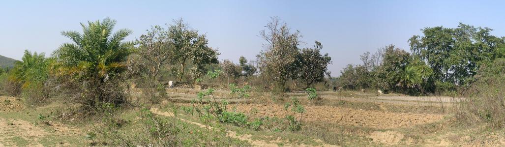 Panoramic view from confluence – West