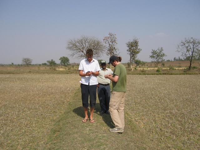 Walking along the irrigation mounds so as not to disturb the crops