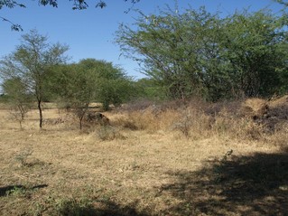 #1: View Of The Confluence