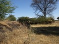 #2: View From Confluence To The East