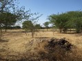 #4: View From Confluence To The West