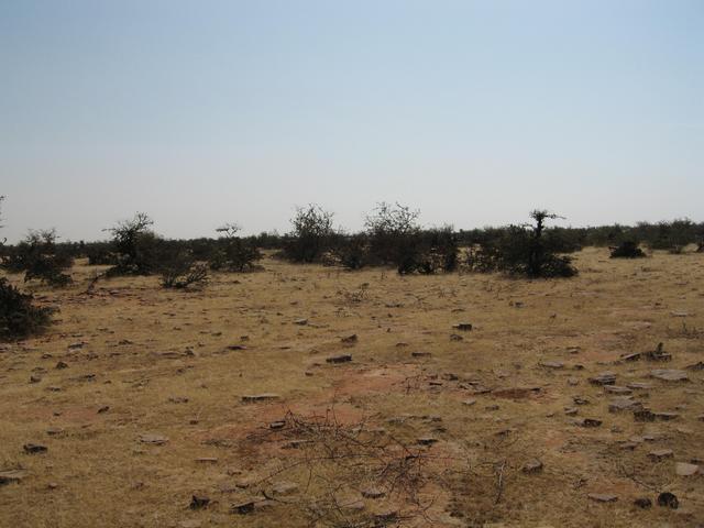 The barren land that surrounds 25N, 76E