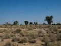 #2: View from Confluence to the East