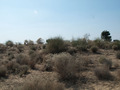 #4: View from Confluence to the West