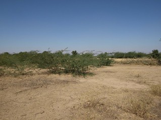 #1: View From Confluence To The North