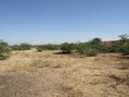 #2: View From Confluence To The East