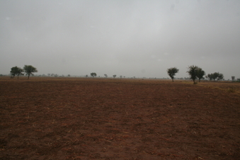 #1: View of Confluence Point