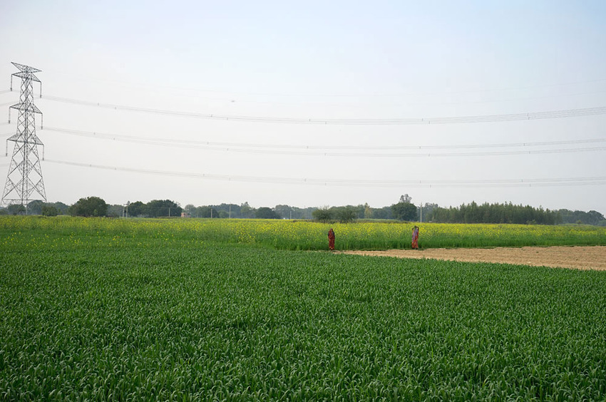 View to the North from the Confluence