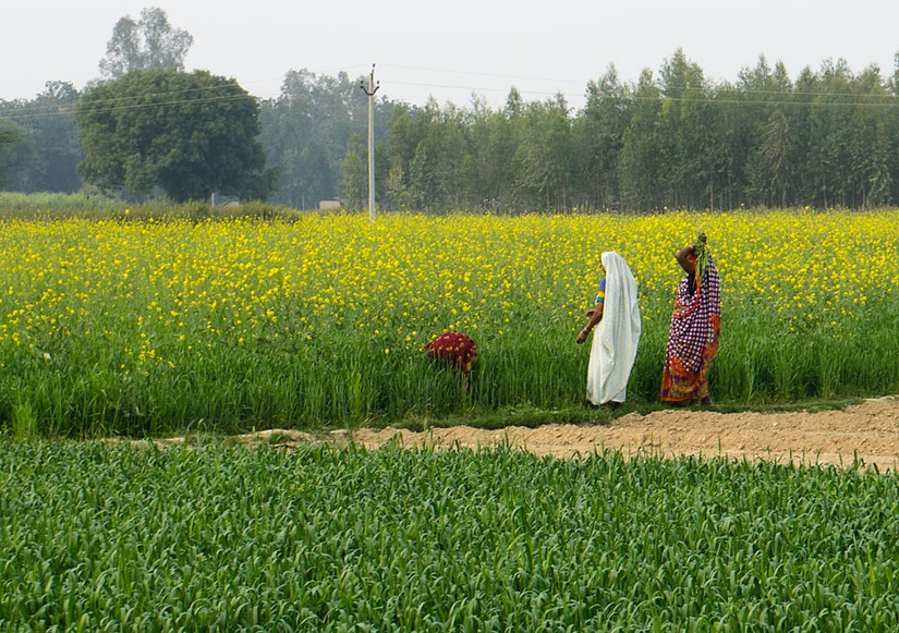 People working in the field near the confluence.