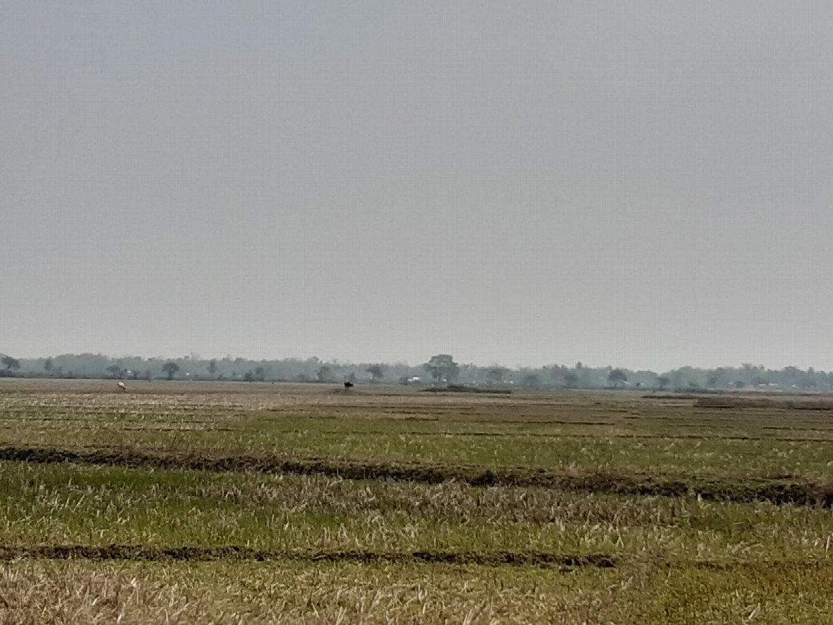 east