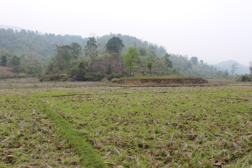 View towards South from the Confluence, farm lands with hillocks