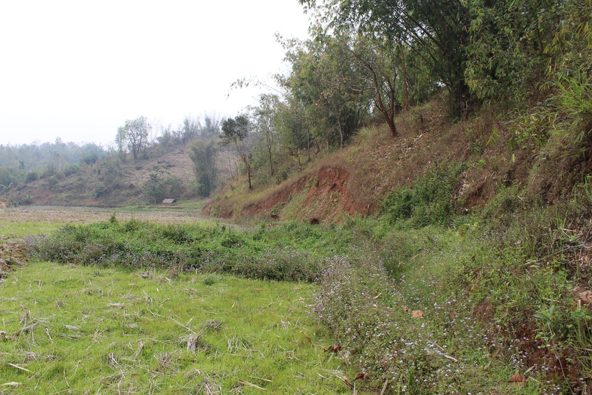 View towards West from the Confluence, farm land and the foothill where we stood