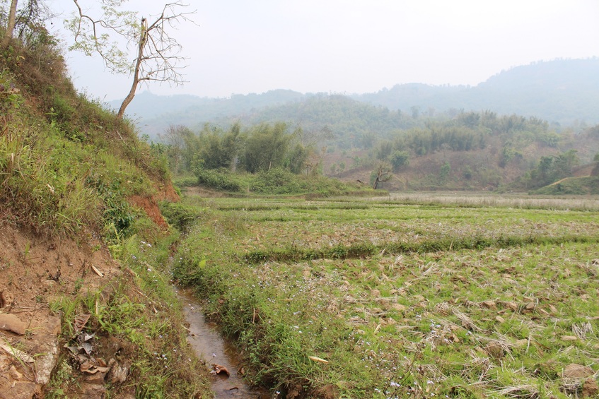 View towards East from the Confluence, farmlands and hillocks, water flows along the hillock