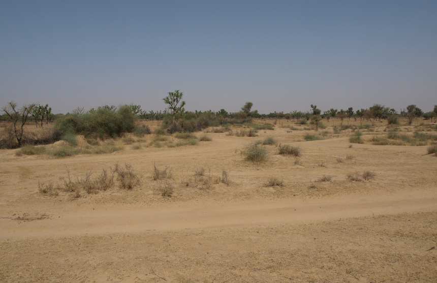 View From Confluence To The North