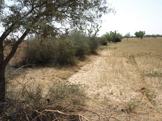 #1: View From Confluence To The South