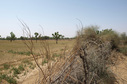 #4: View From Confluence To The West