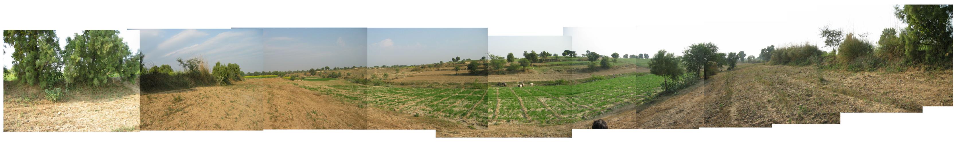 Panoramic view from confluence point