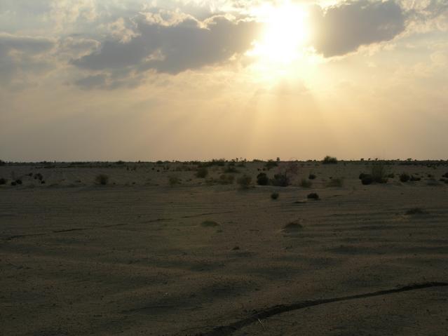 View from the confluence, looking West