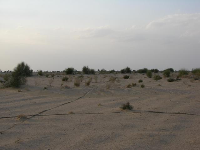 View from the confluence, looking North